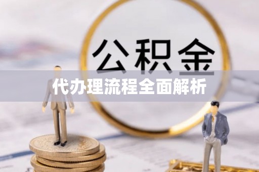 温江代办理流程全面解析